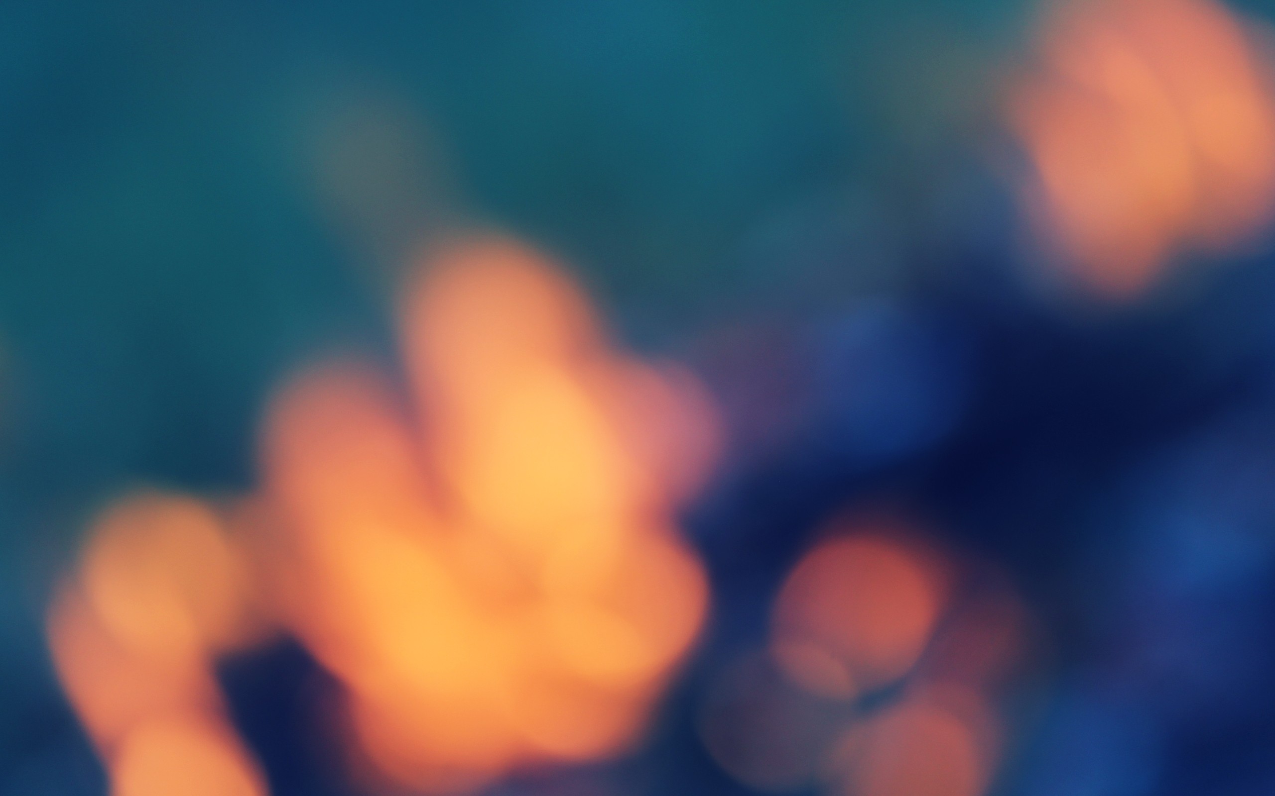 Fanlink banner for @rupert